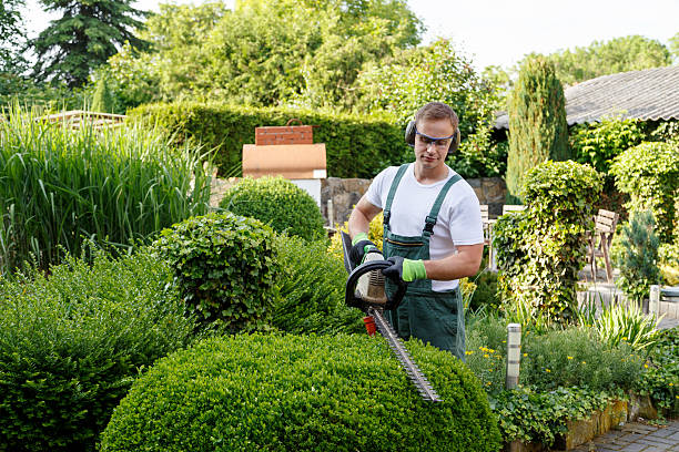 Best Residential Tree Removal  in Weston, WI